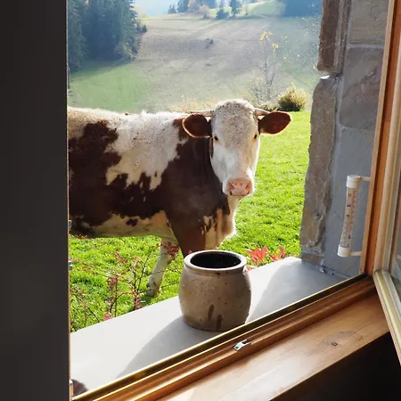 Ubytování v soukromí Dom Pod Smokami Tatranská Bukovina